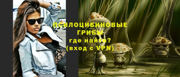 тгк Аркадак